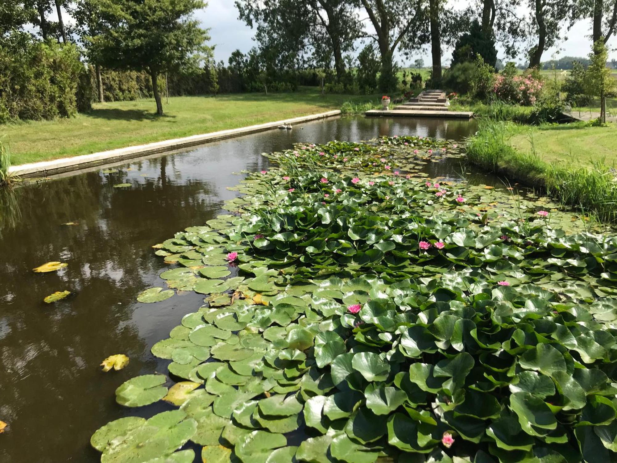 Landgoed Swaensborgh Apartment Oudesluis  Luaran gambar